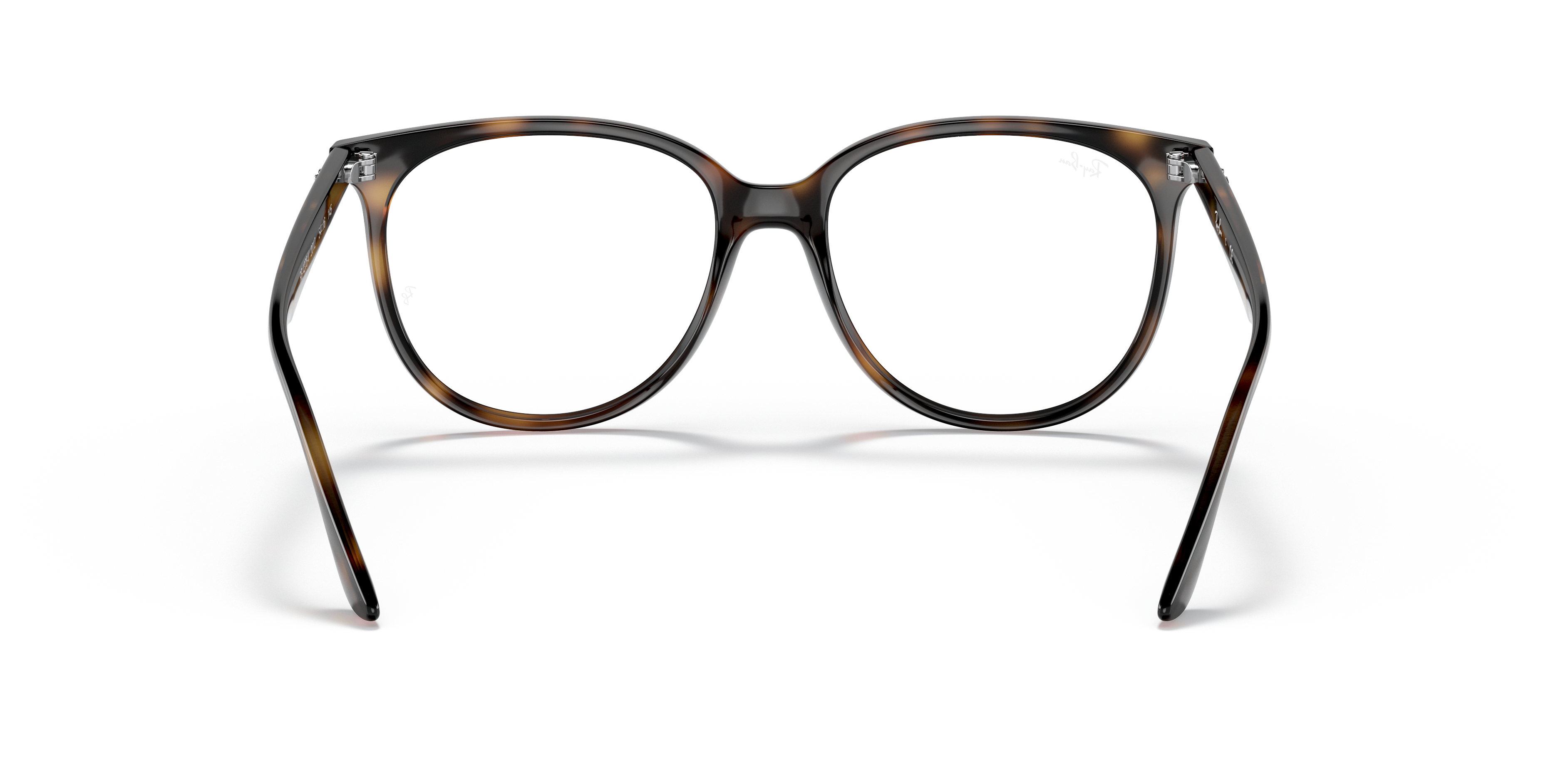 Ray-Ban RB4378V Optics
