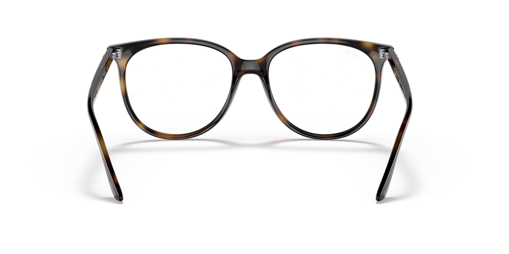 Ray-Ban RB4378V Optics