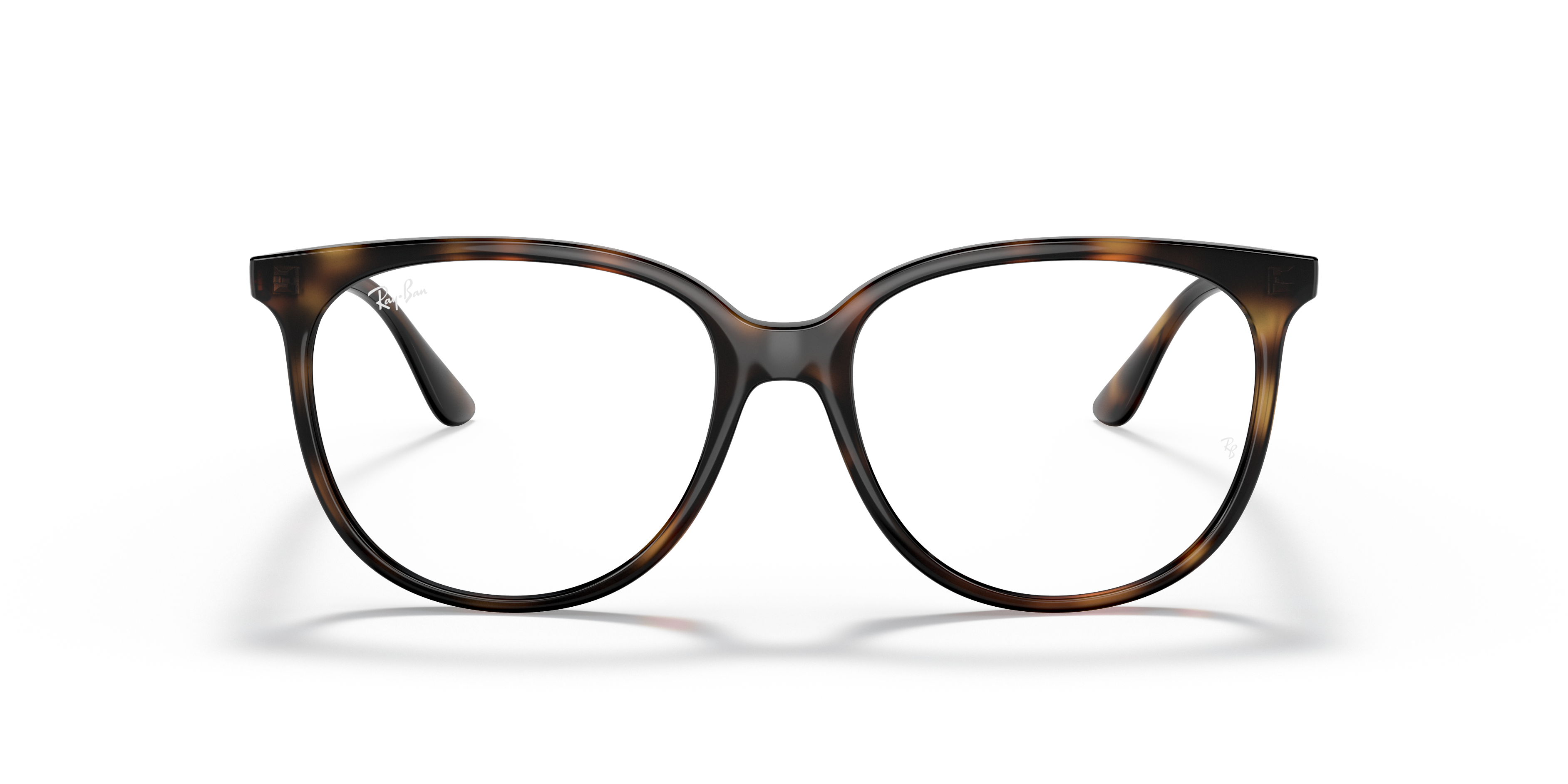 Ray-Ban RB4378V Optics