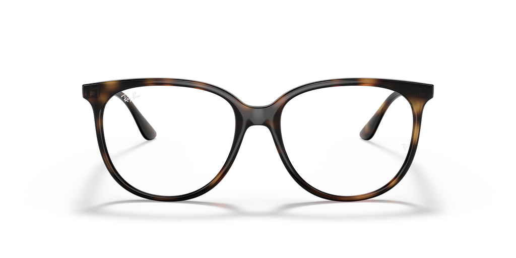 Ray-Ban RB4378V Optics