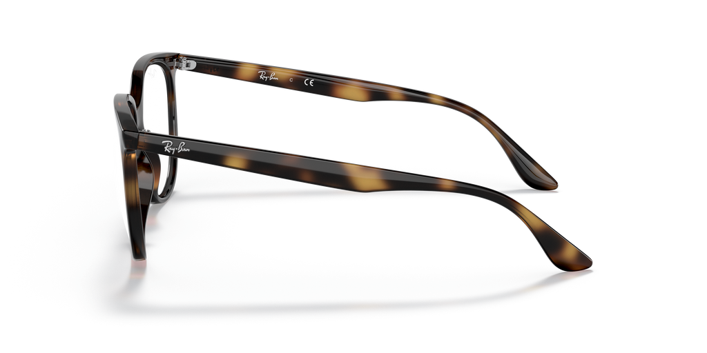 Ray-Ban RB4378V Optics
