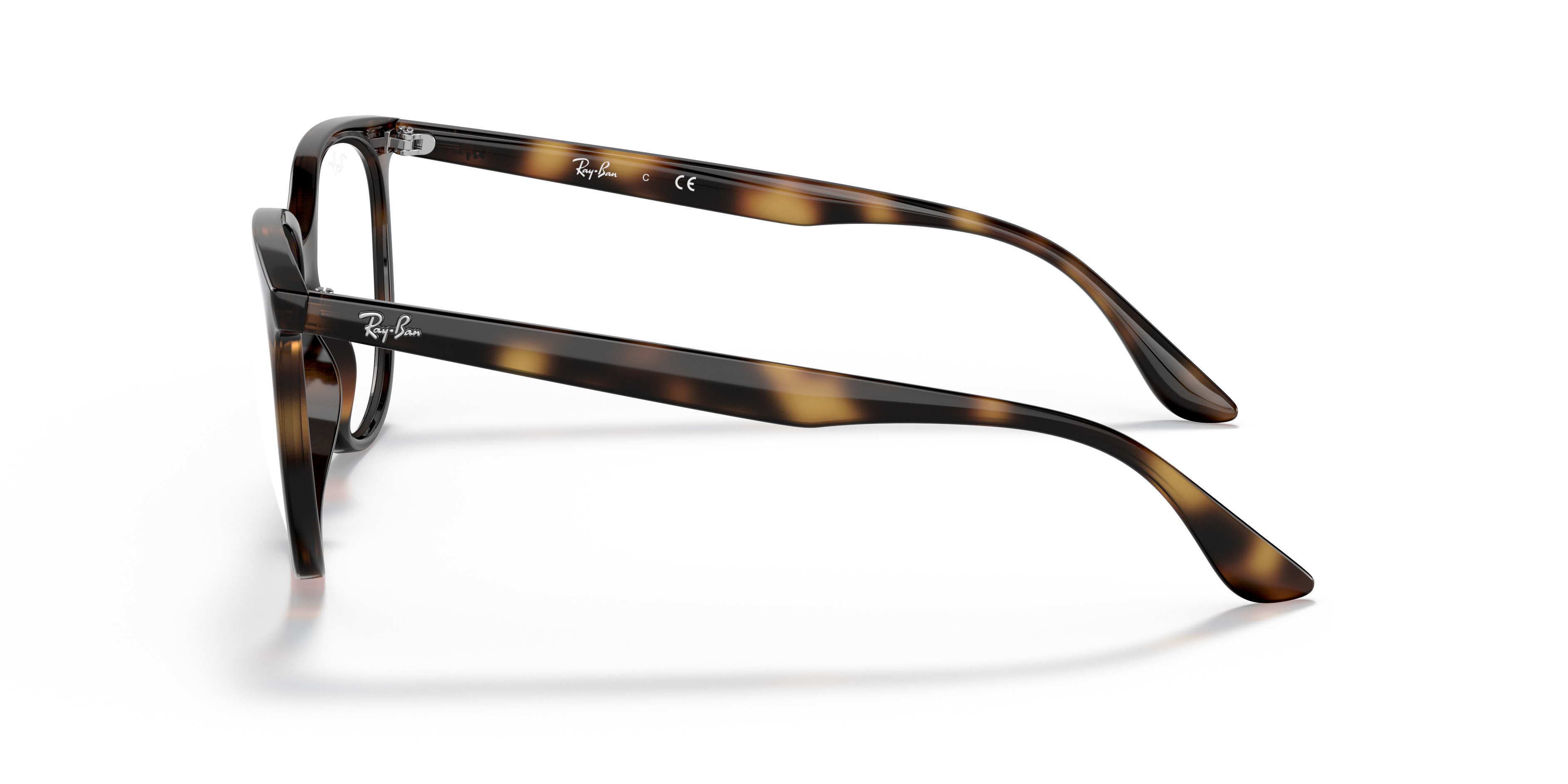 Ray-Ban RB4378V Optics