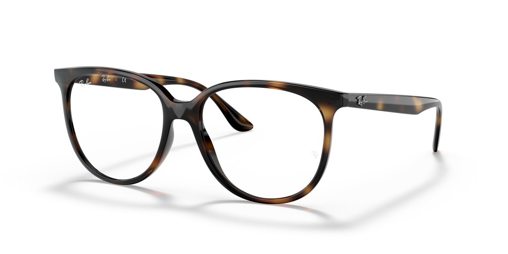 Ray-Ban RB4378V Optics
