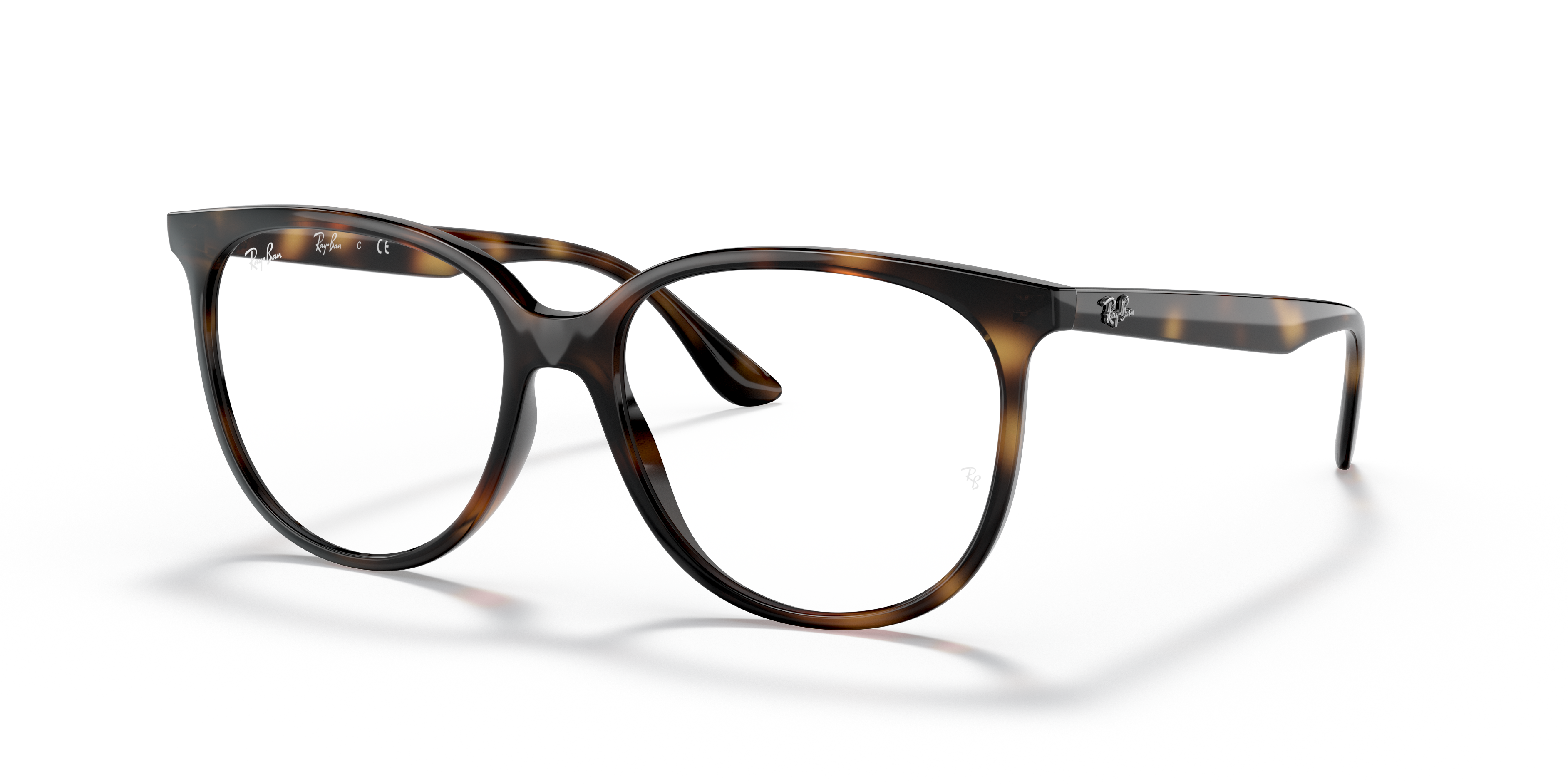 Ray-Ban RB4378V Optics