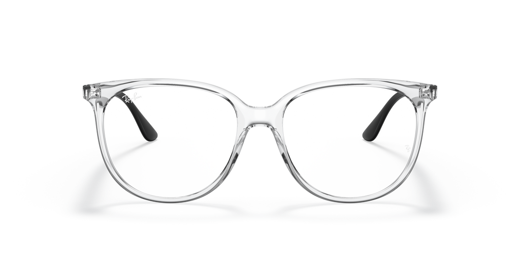 Ray-Ban RB4378V Optics