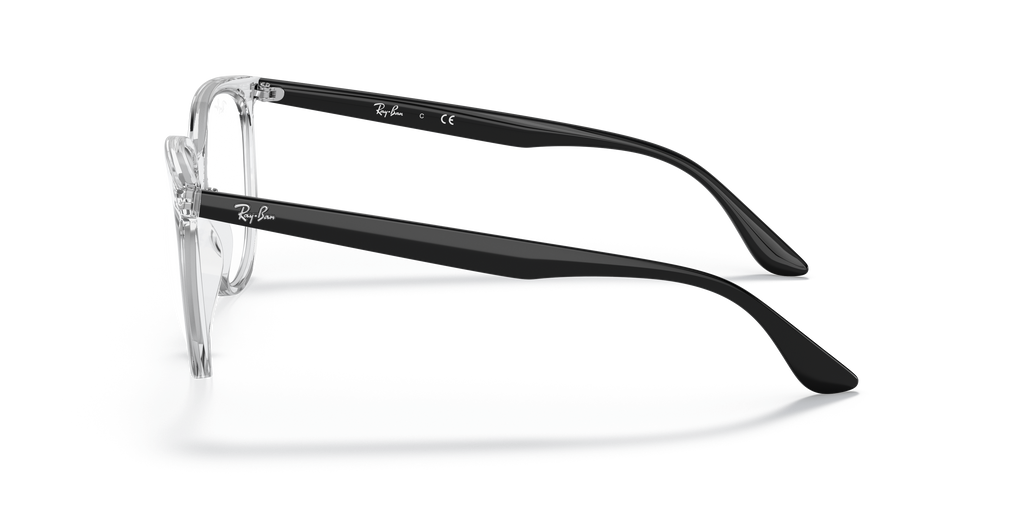Ray-Ban RB4378V Optics