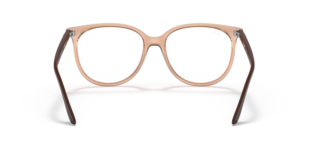 Ray-Ban RB4378V Optics