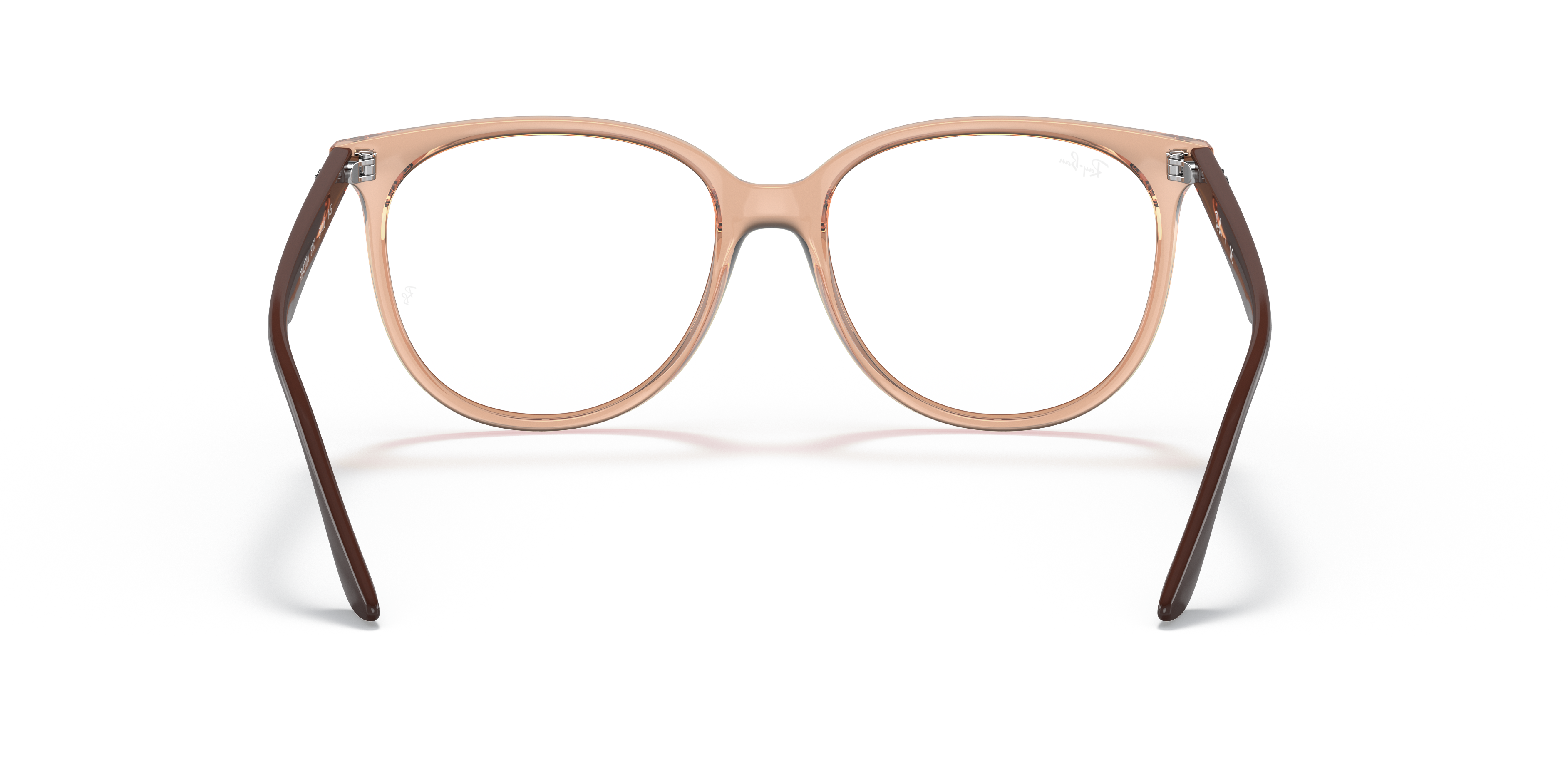 Ray-Ban RB4378V Optics