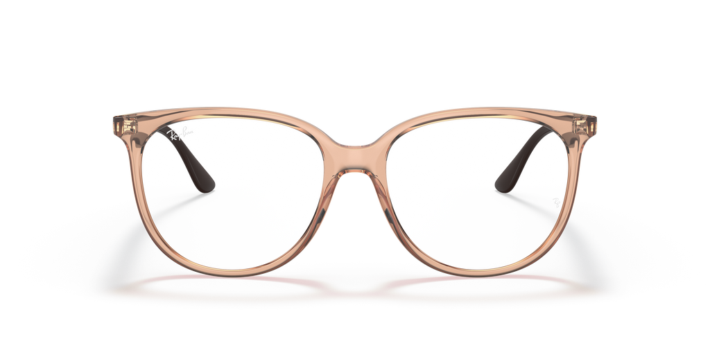 Ray-Ban RB4378V Optics