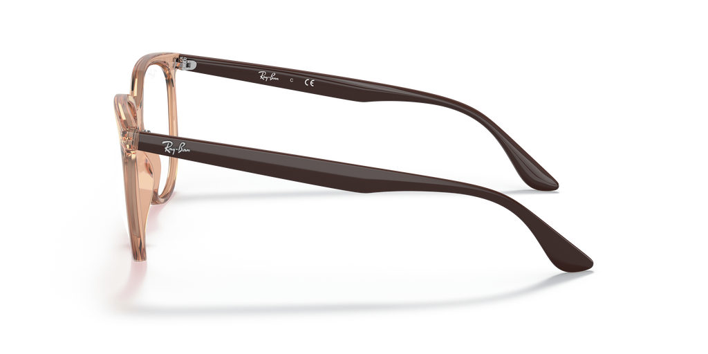 Ray-Ban RB4378V Optics