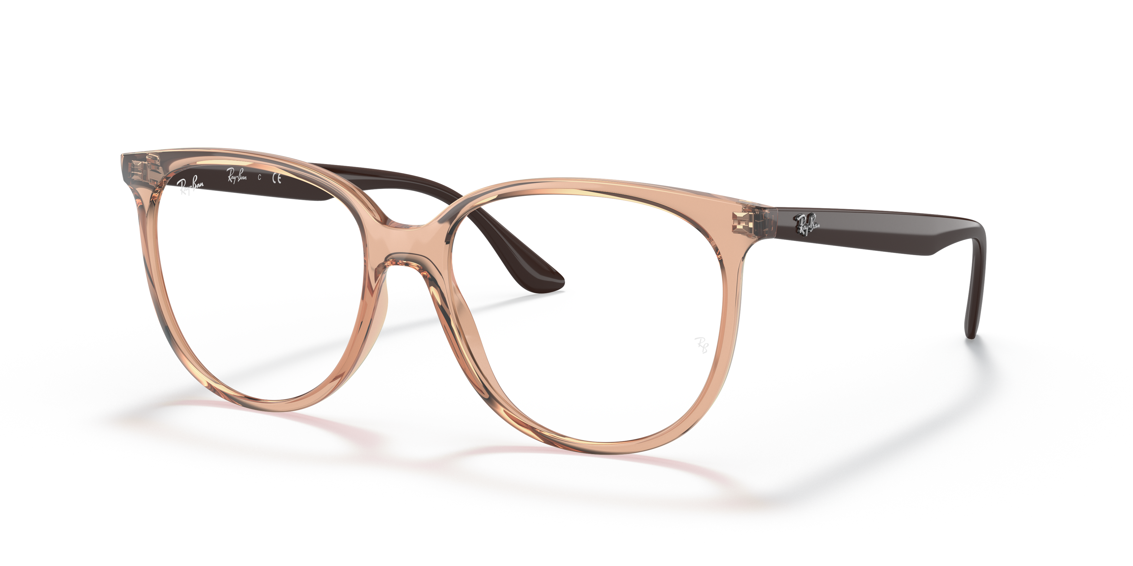 Ray-Ban RB4378V Optics
