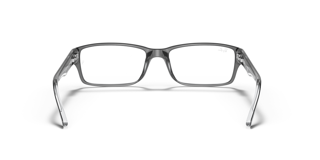 Ray-Ban RB5169 Optics