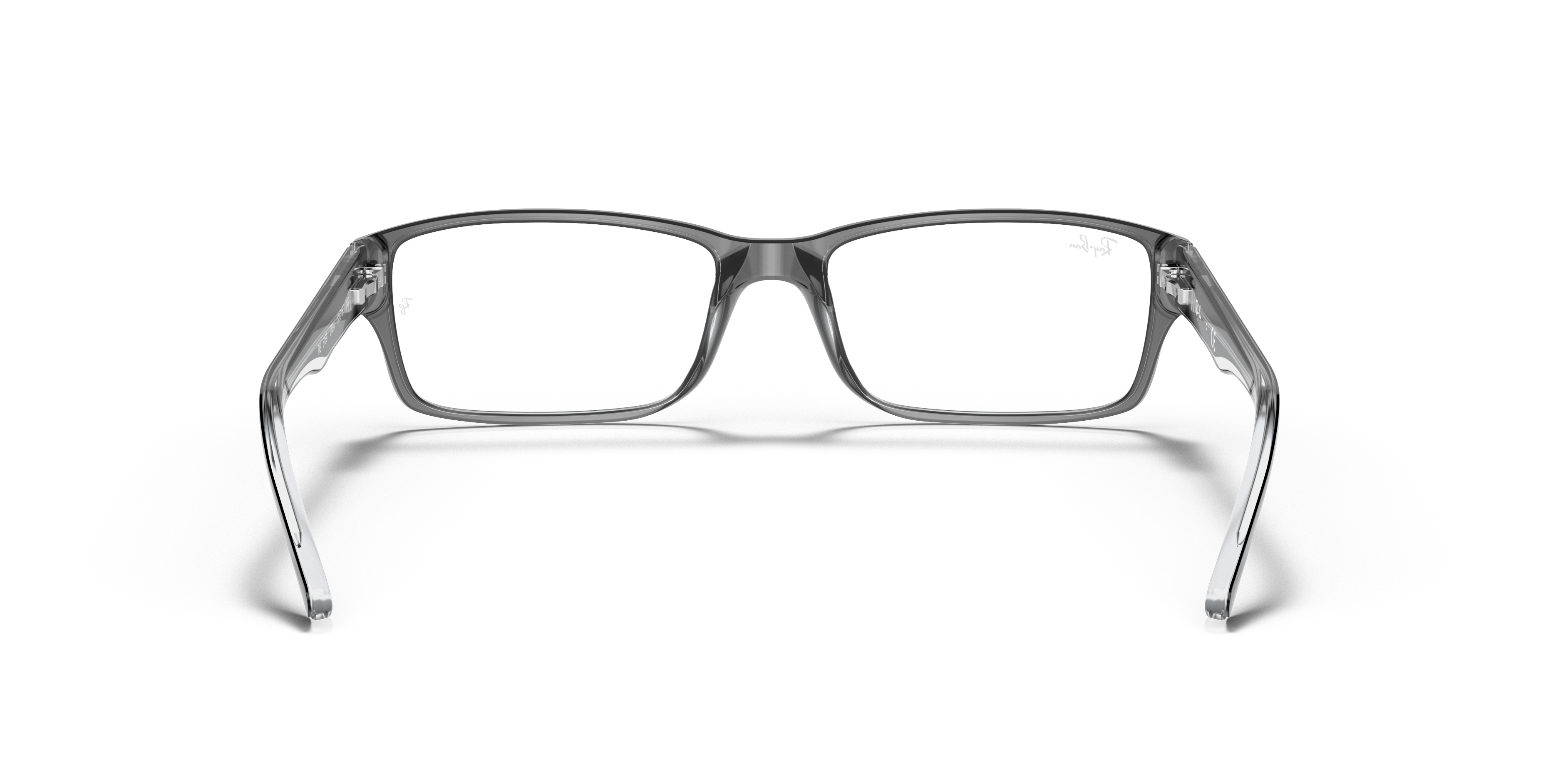 Ray-Ban RB5169 Optics