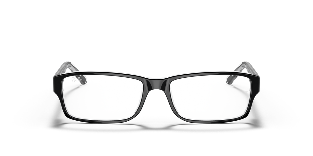 Ray-Ban RB5169 Optics
