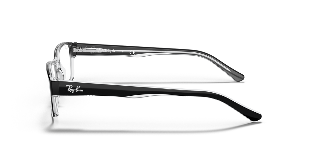 Ray-Ban RB5169 Optics