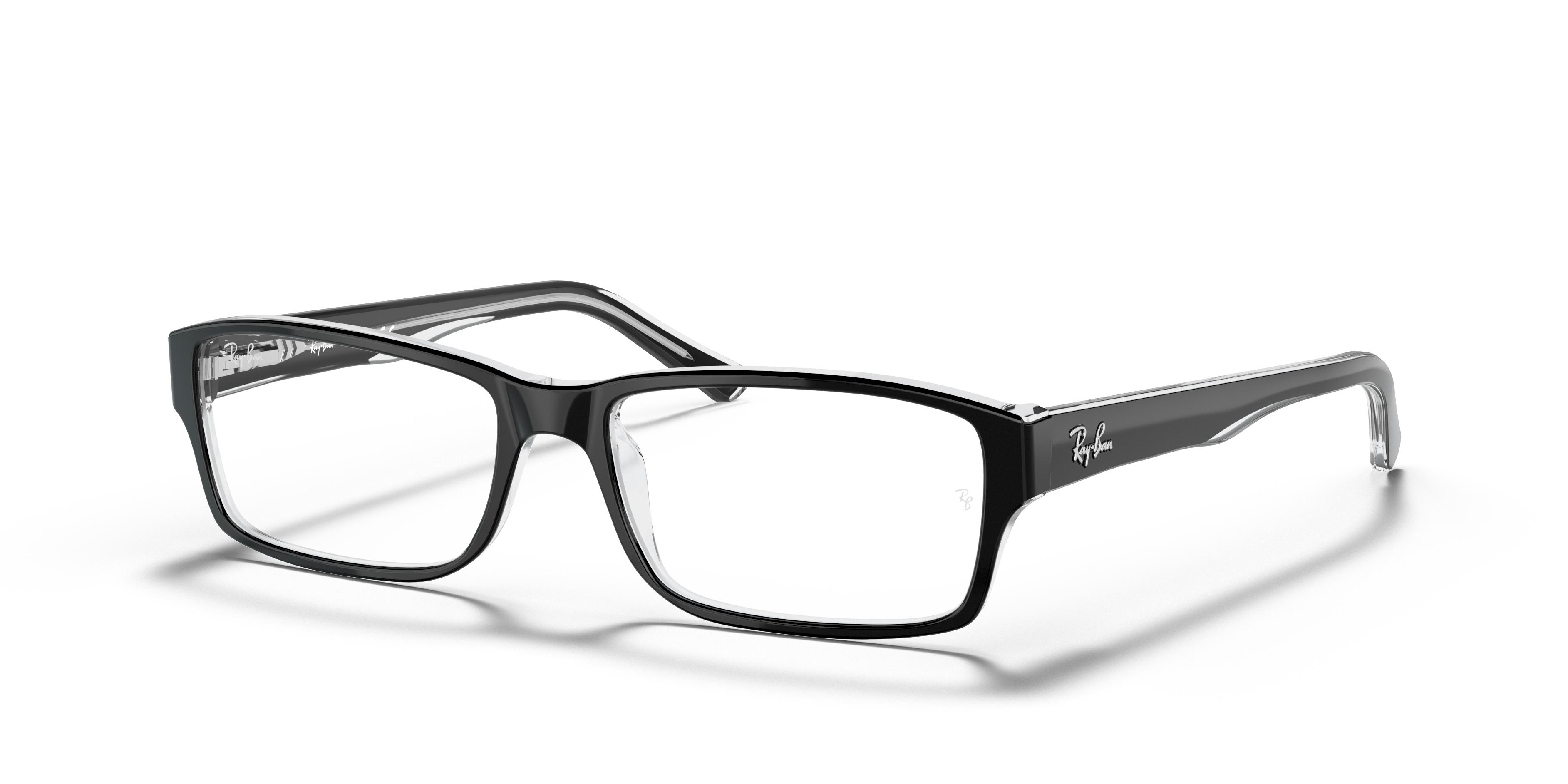 Ray-Ban RB5169 Optics