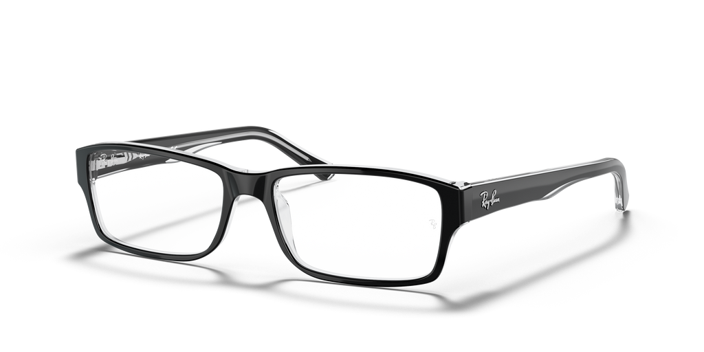 Ray-Ban RB5169 Optics