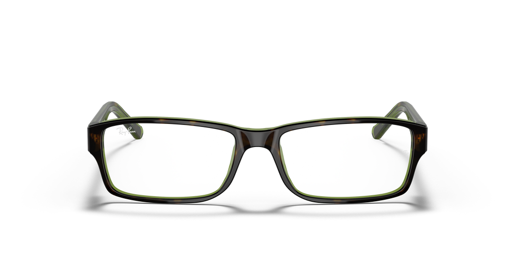 Ray-Ban RB5169 Optics