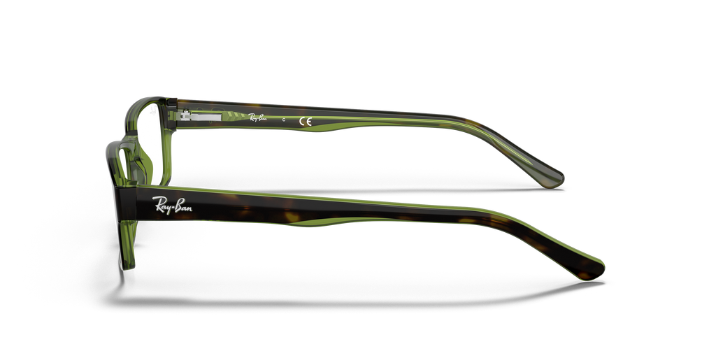 Ray-Ban RB5169 Optics