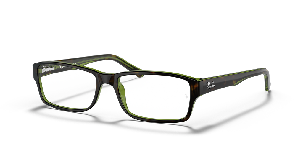 Ray-Ban RB5169 Optics