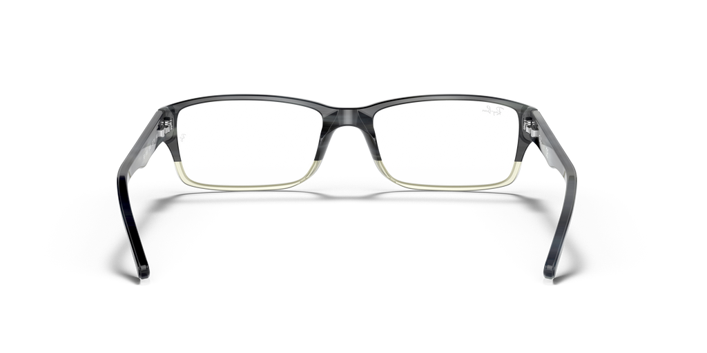 Ray-Ban RB5169 Optics