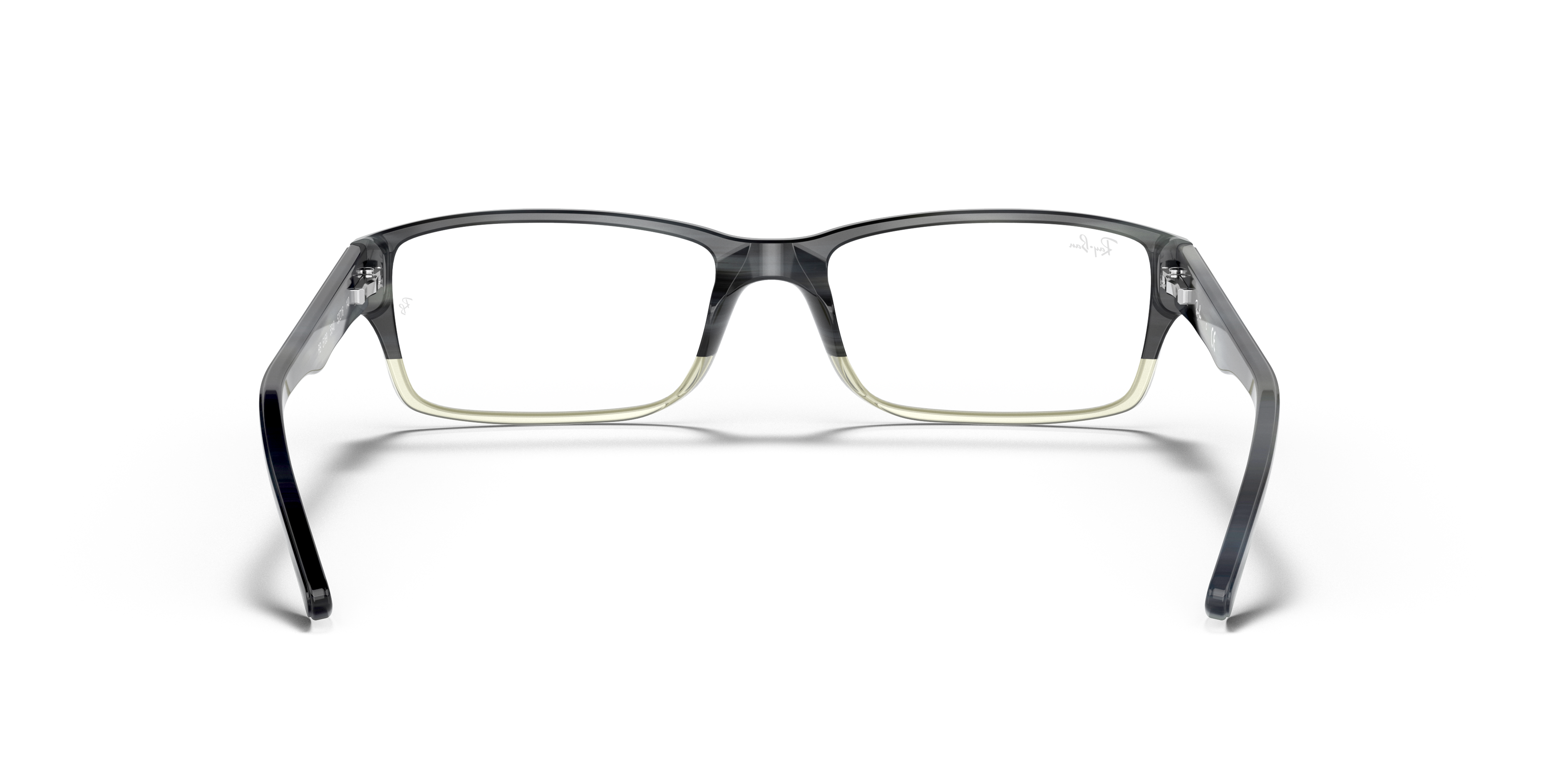 Ray-Ban RB5169 Optics