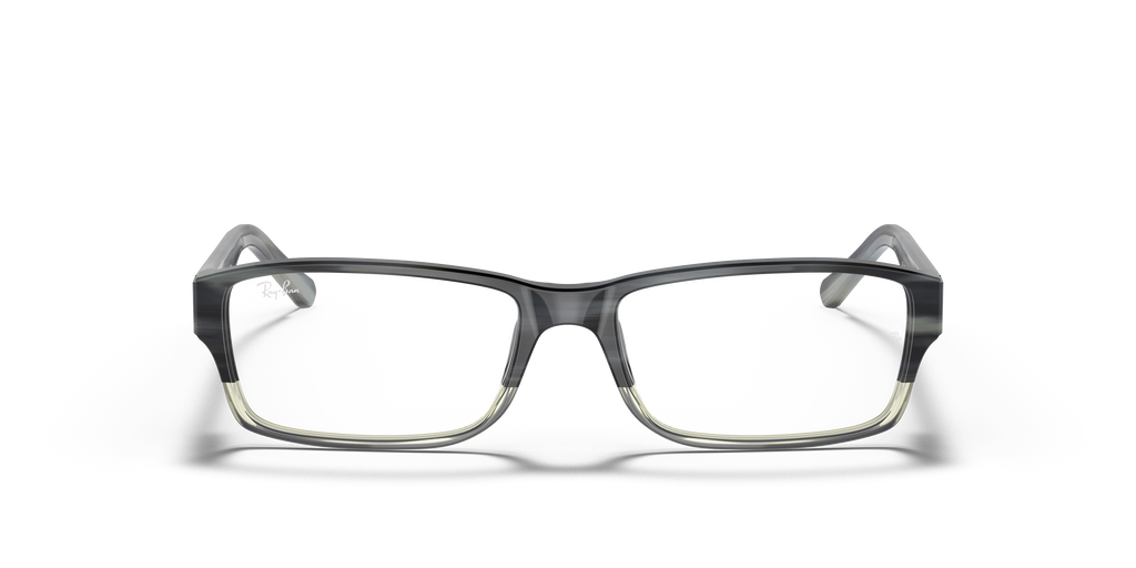 Ray-Ban RB5169 Optics