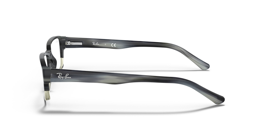 Ray-Ban RB5169 Optics