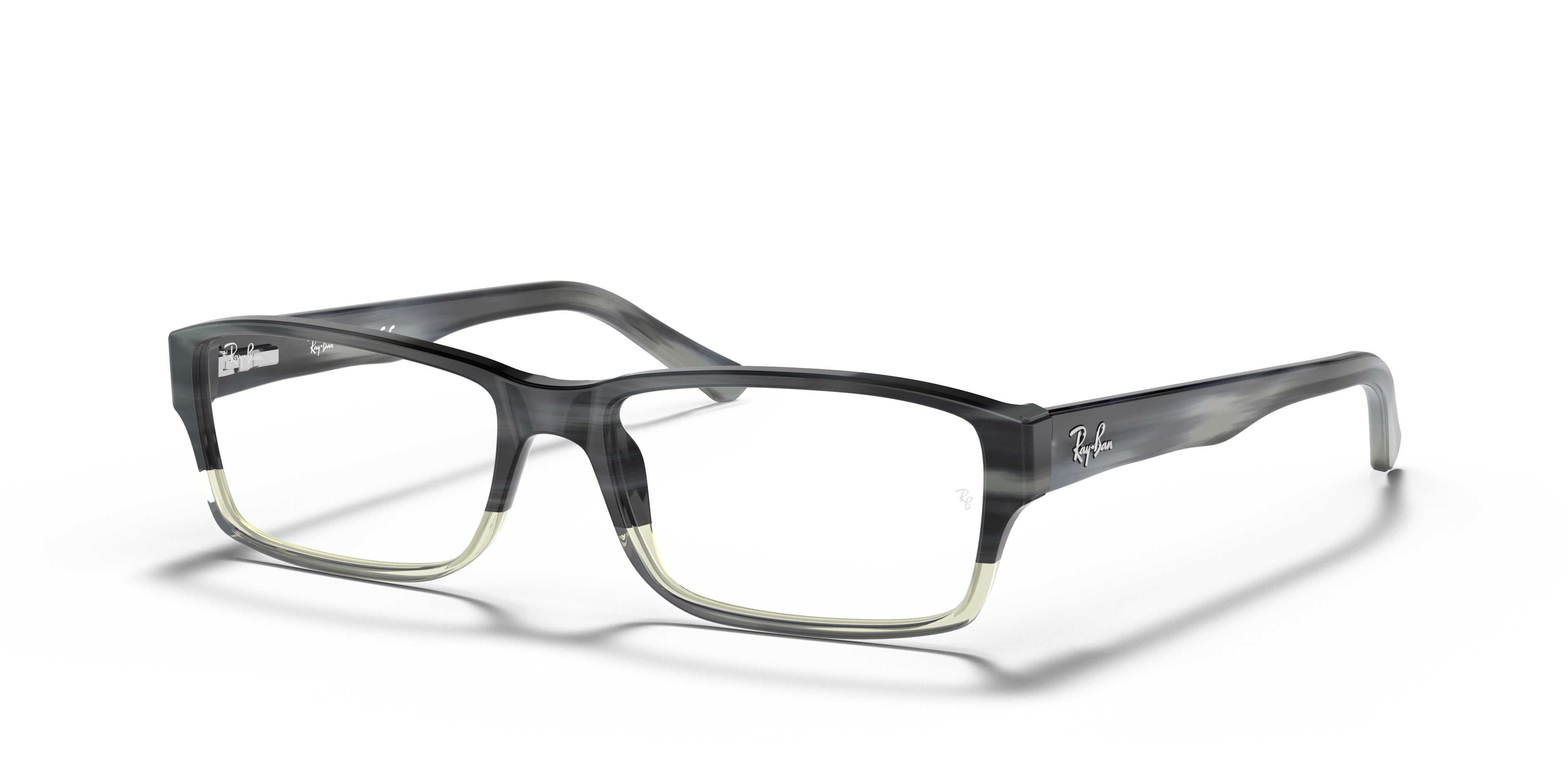Ray-Ban RB5169 Optics