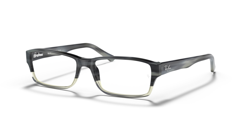 Ray-Ban RB5169 Optics
