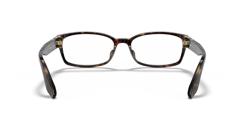 Ray-Ban RB5198 Optics