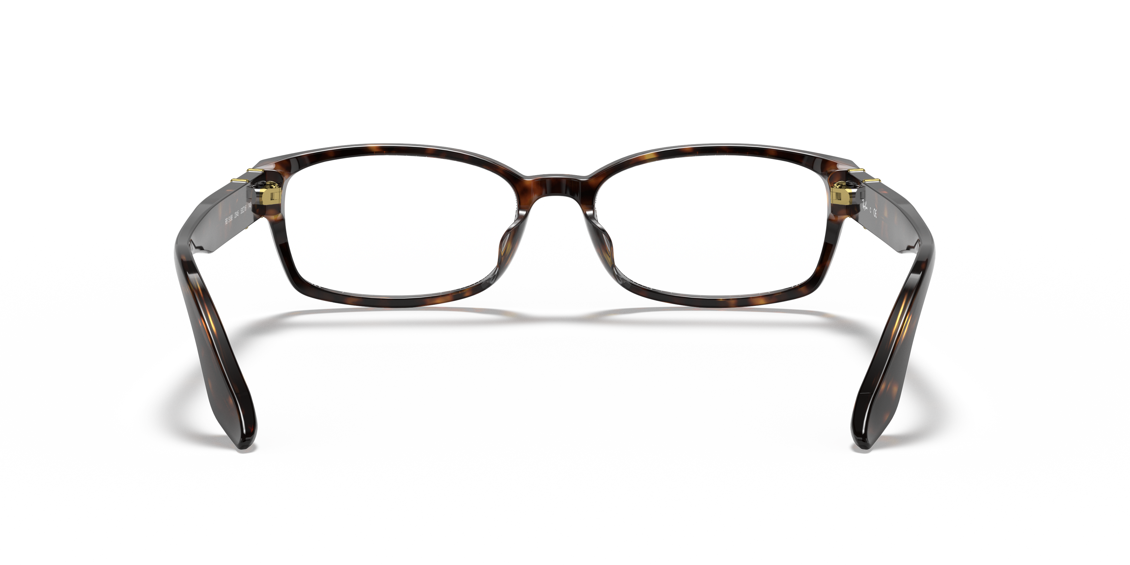 Ray-Ban RB5198 Optics