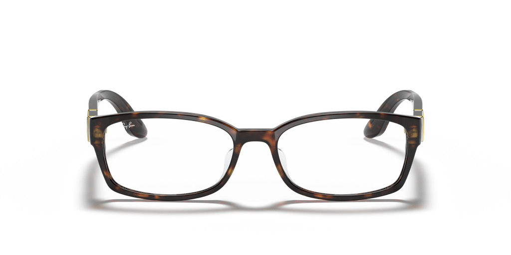 Ray-Ban RB5198 Optics
