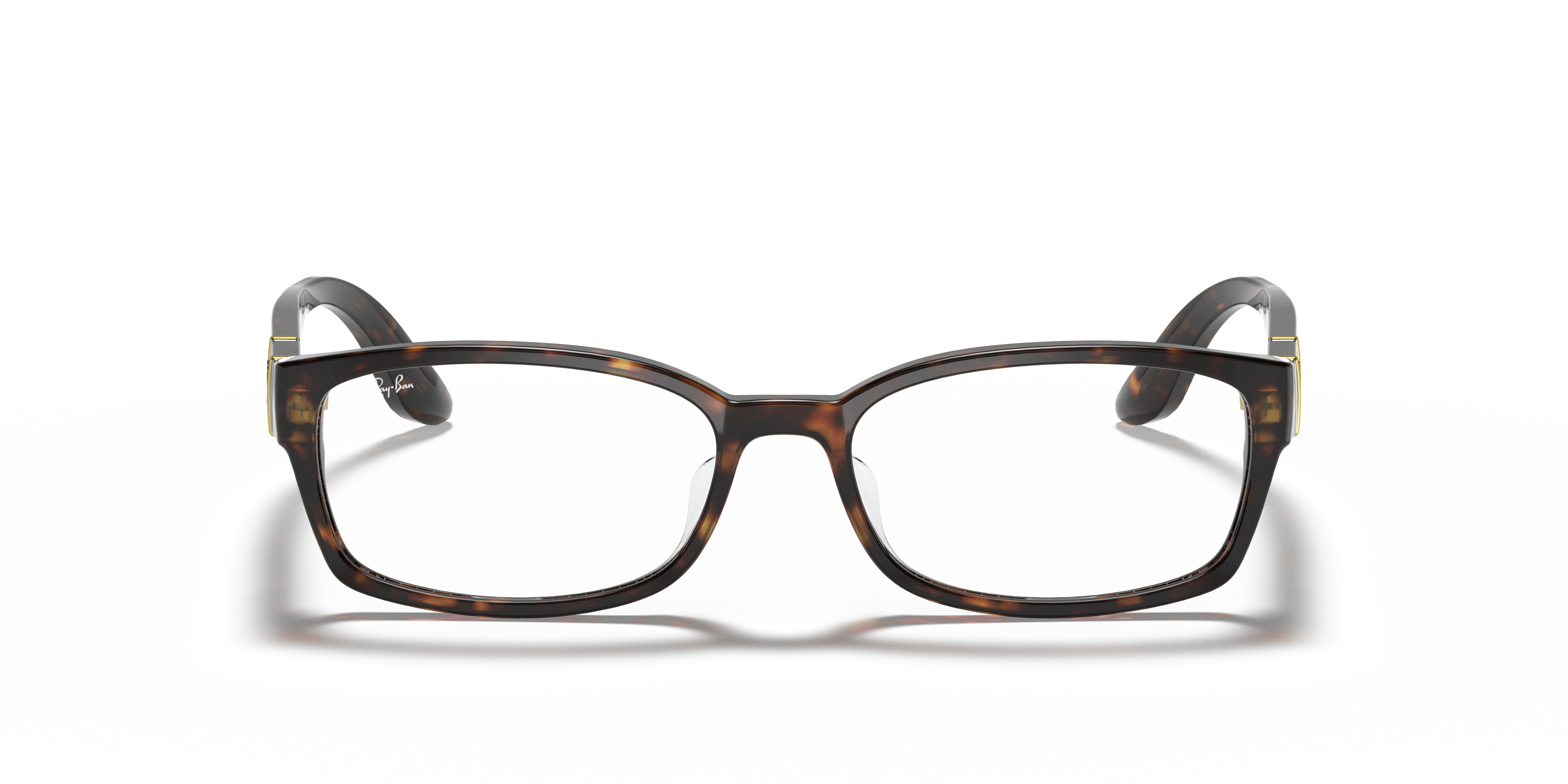 Ray-Ban RB5198 Optics
