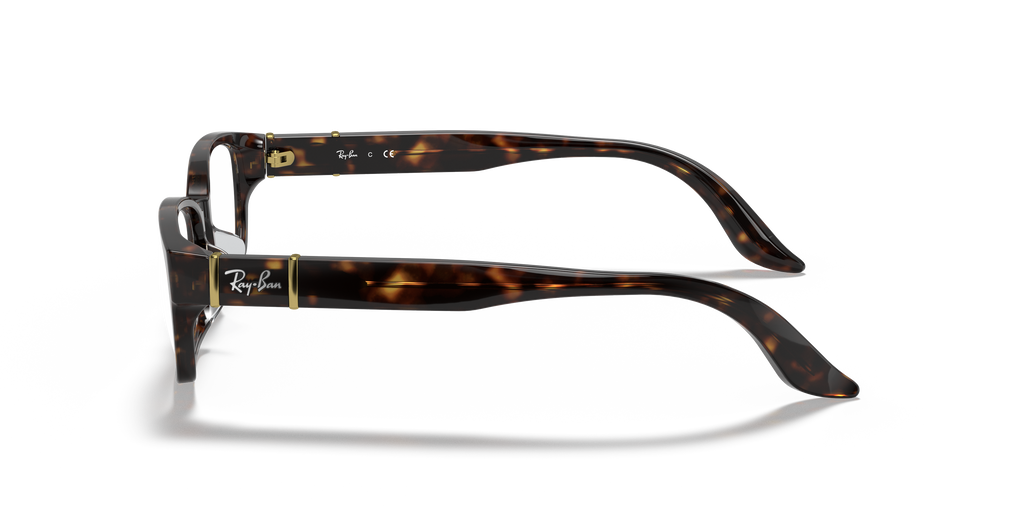 Ray-Ban RB5198 Optics