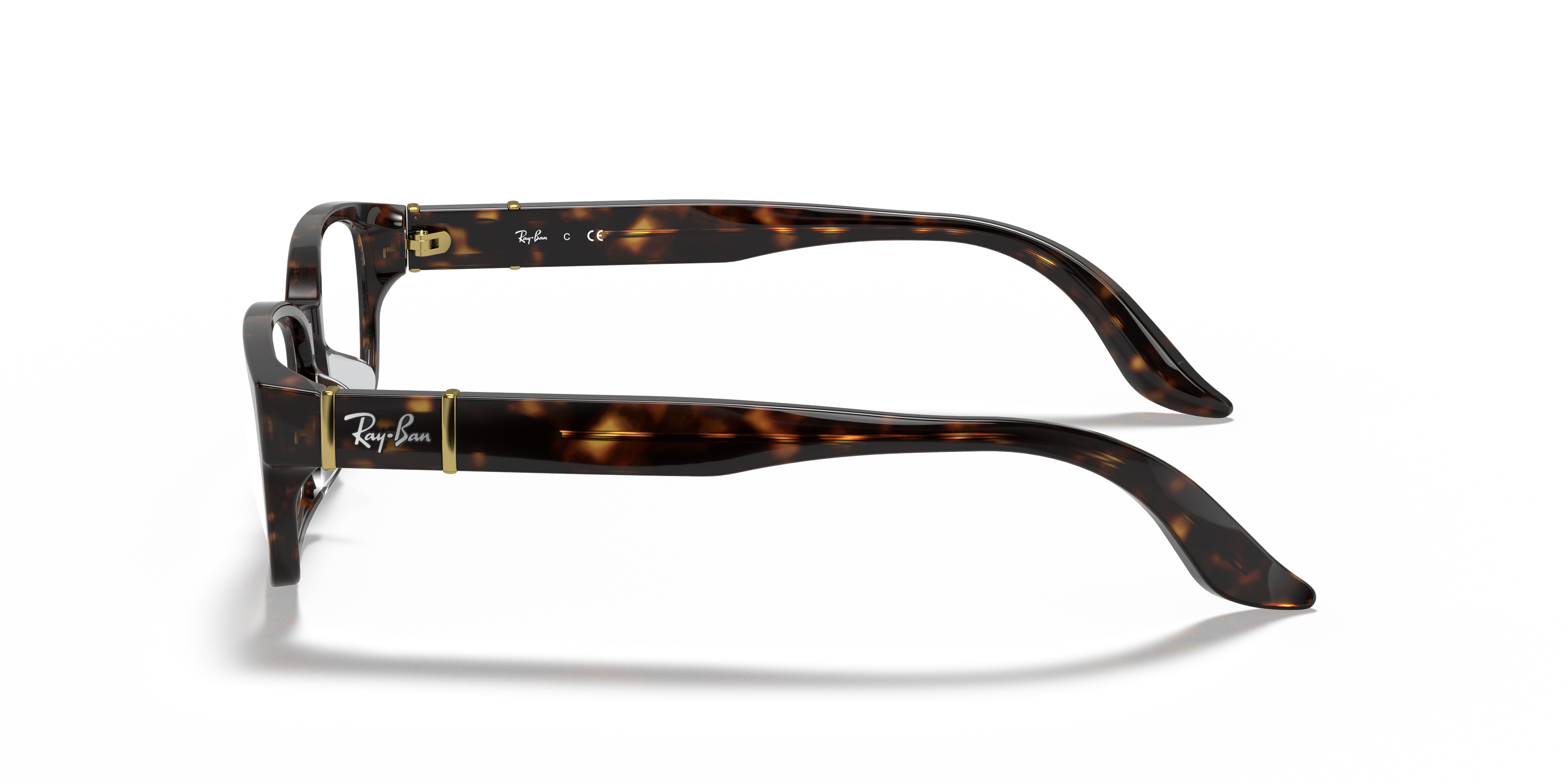 Ray-Ban RB5198 Optics