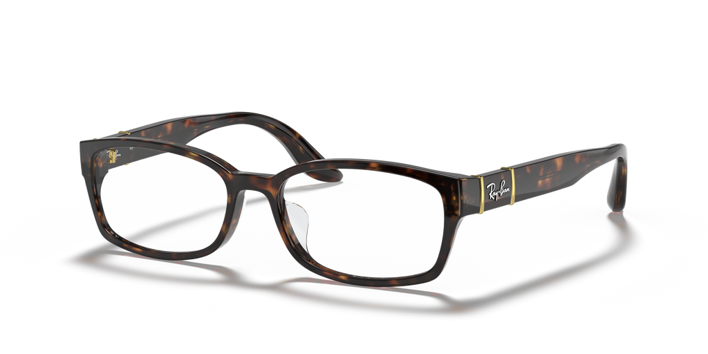 Ray-Ban RB5198 Optics