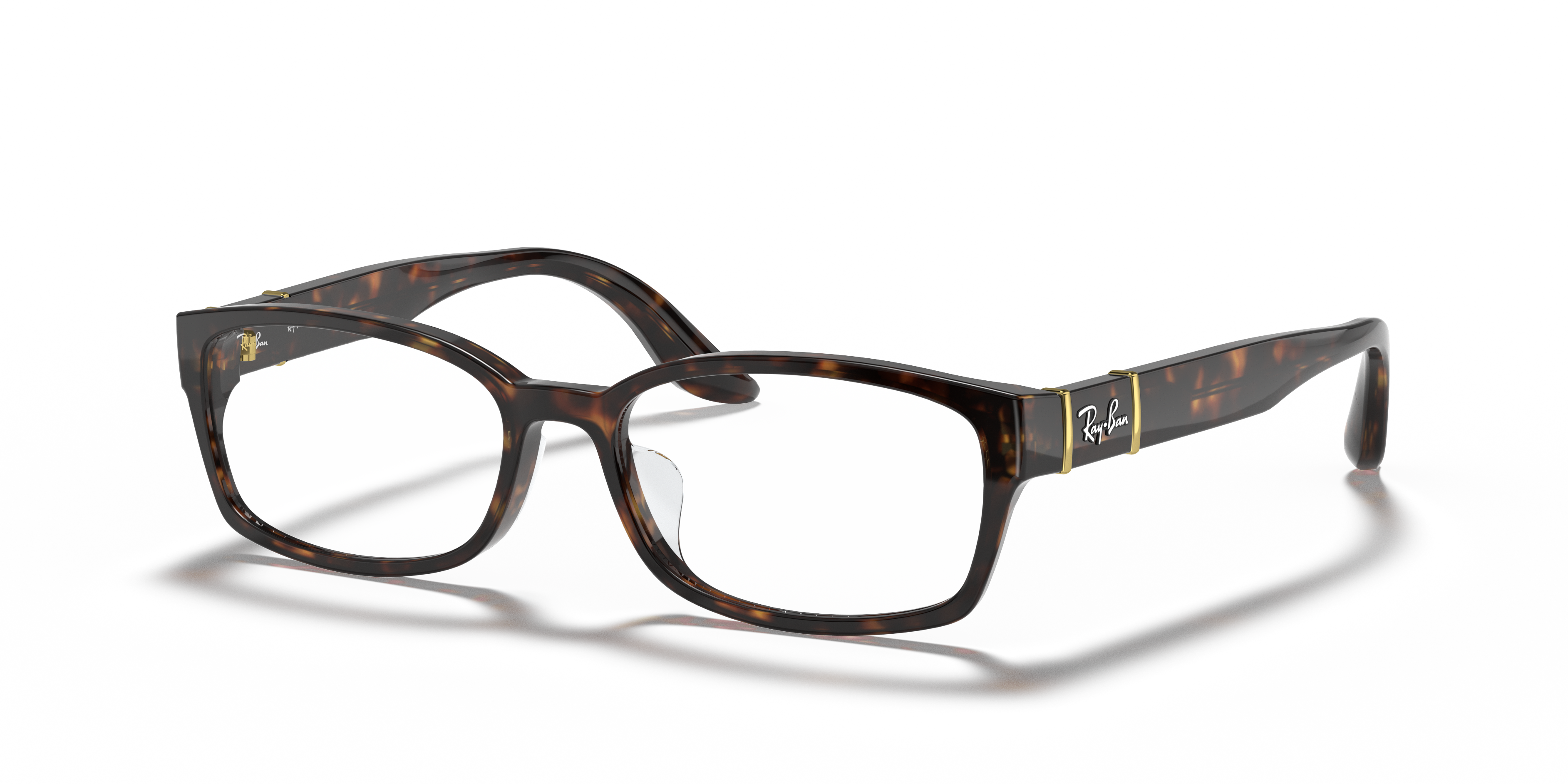Ray-Ban RB5198 Optics