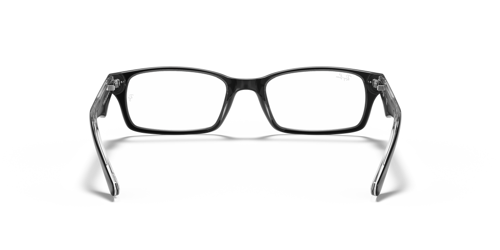 Ray-Ban RB5206 Optics