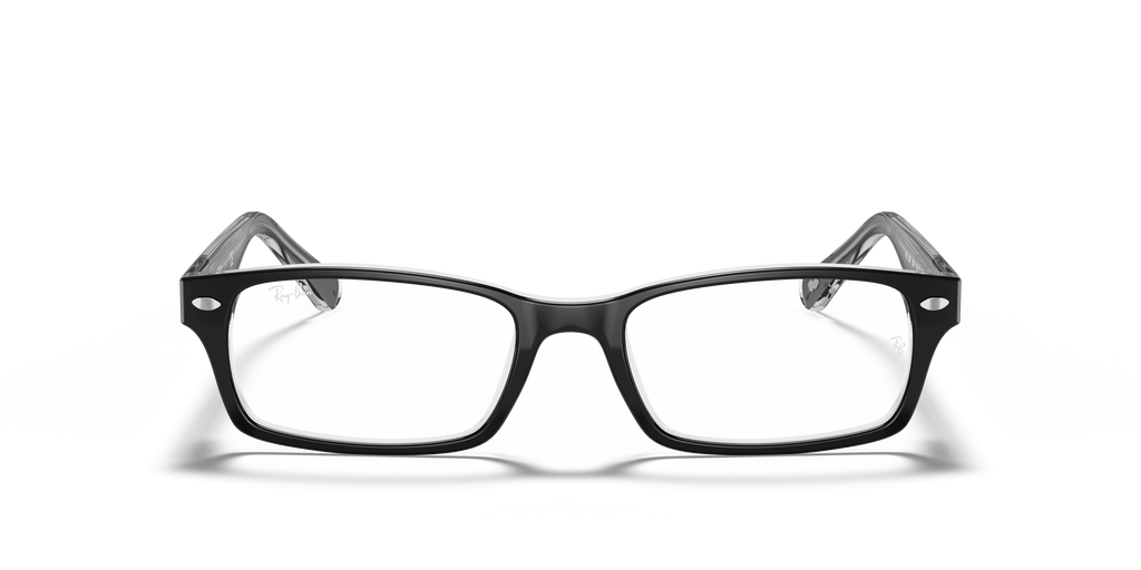 Ray-Ban RB5206 Optics