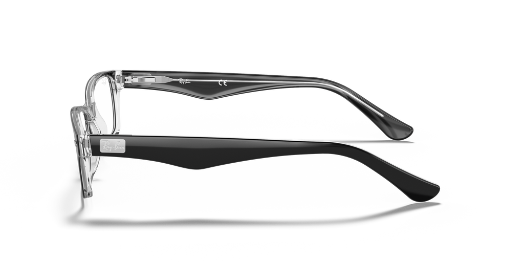 Ray-Ban RB5206 Optics