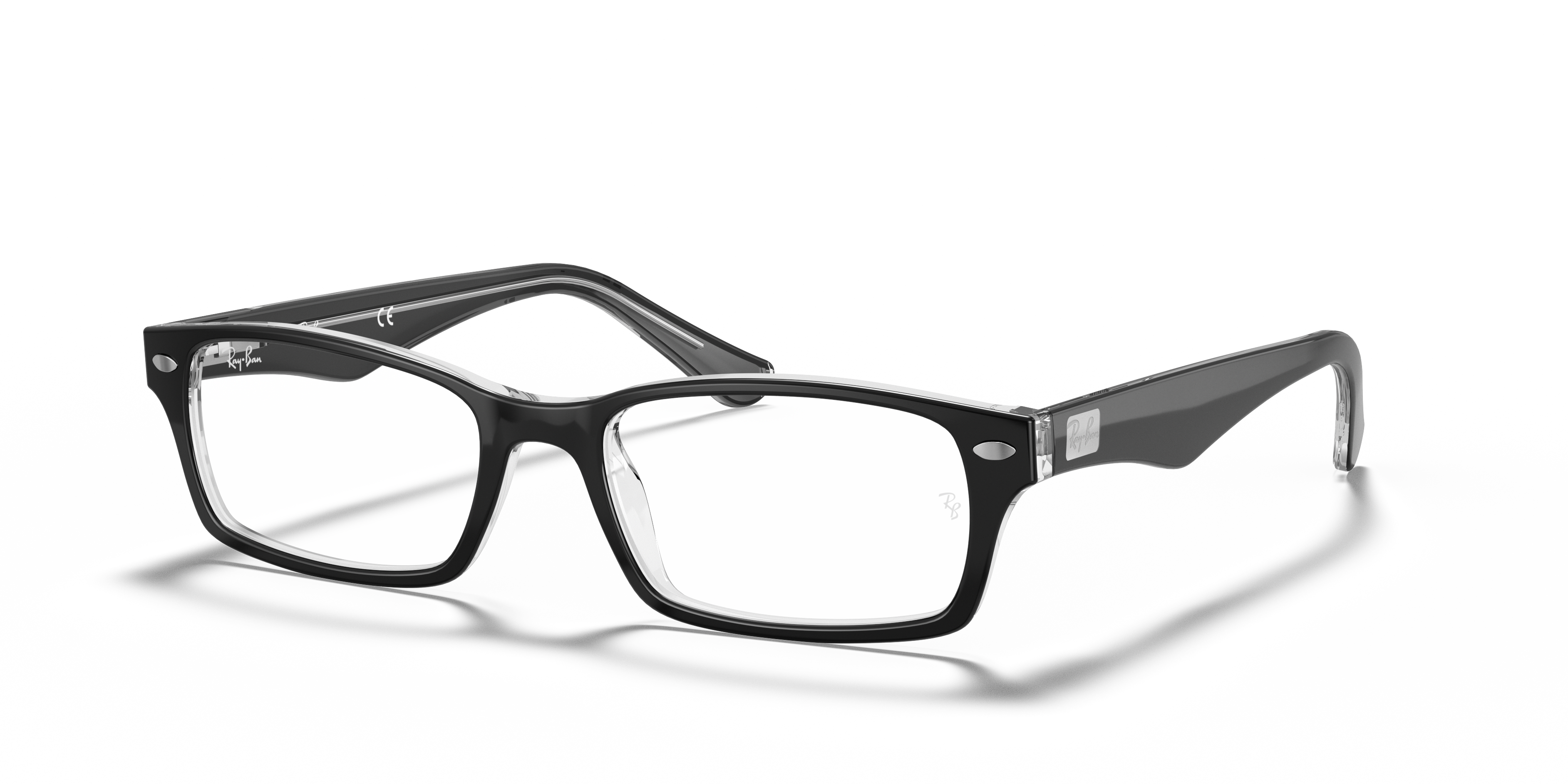 Ray-Ban RB5206 Optics