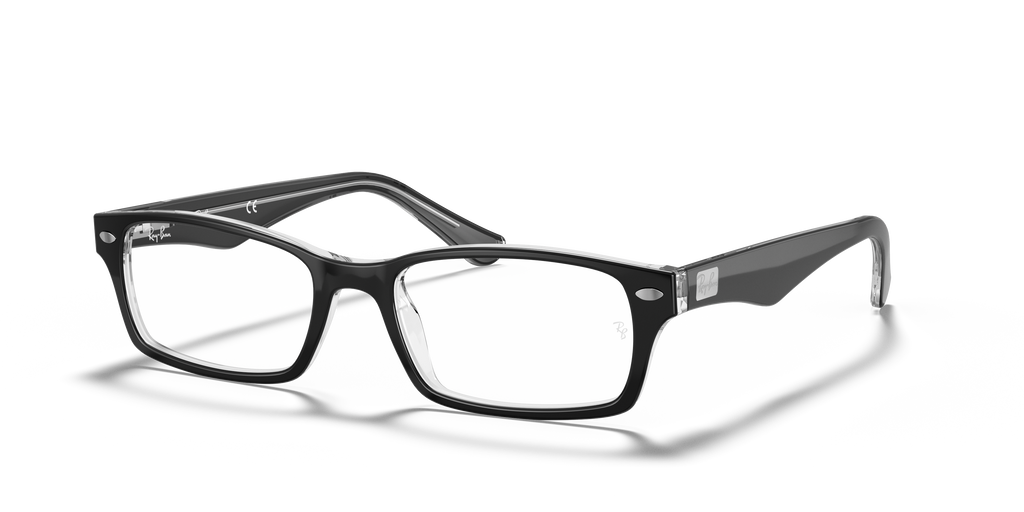 Ray-Ban RB5206 Optics