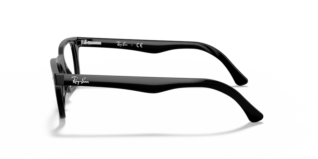 Ray-Ban RB5228 Optics