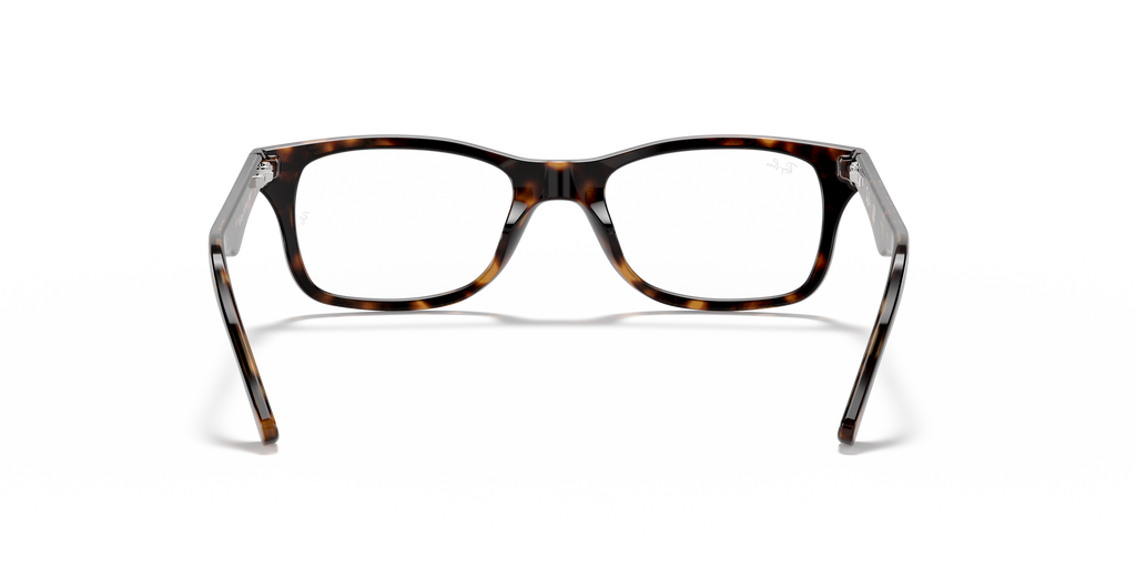 Ray-Ban RB5228 Optics