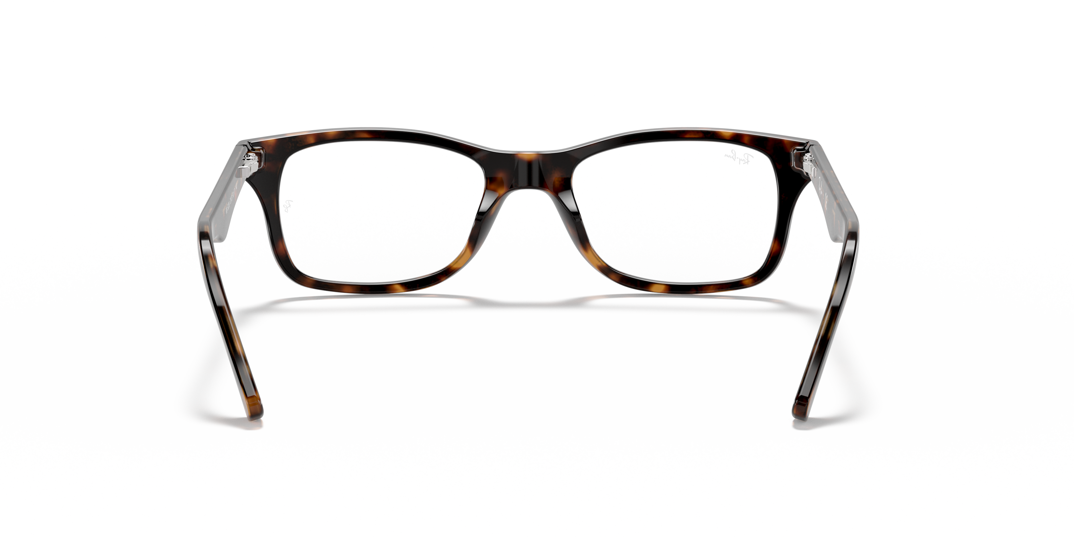 Ray-Ban RB5228 Optics
