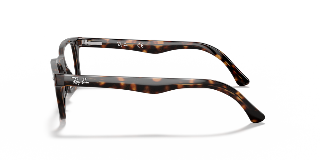 Ray-Ban RB5228 Optics