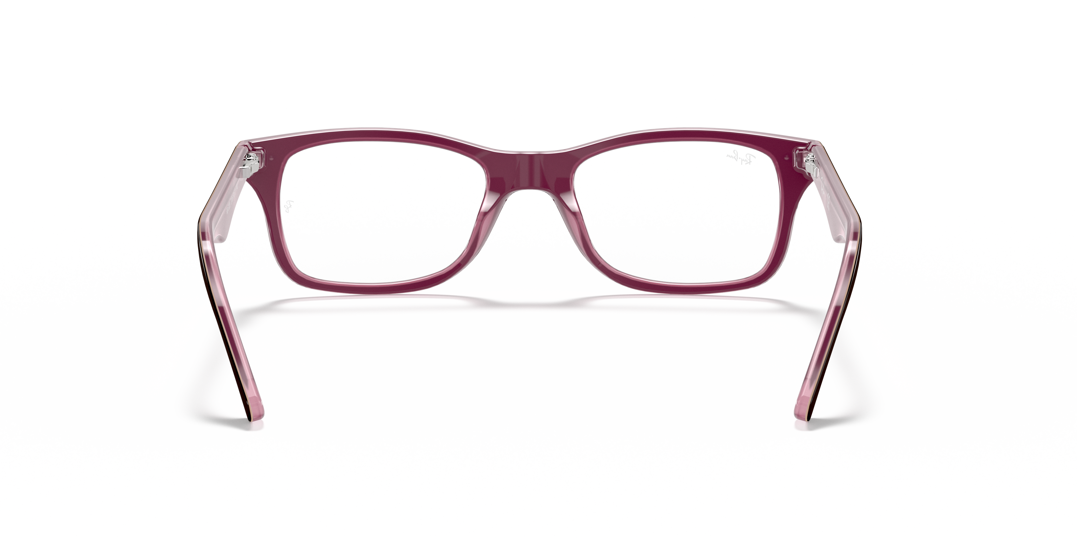 Ray-Ban RB5228 Optics