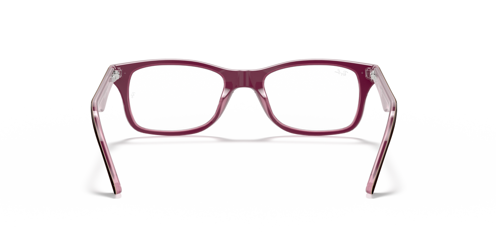 Ray-Ban RB5228 Optics