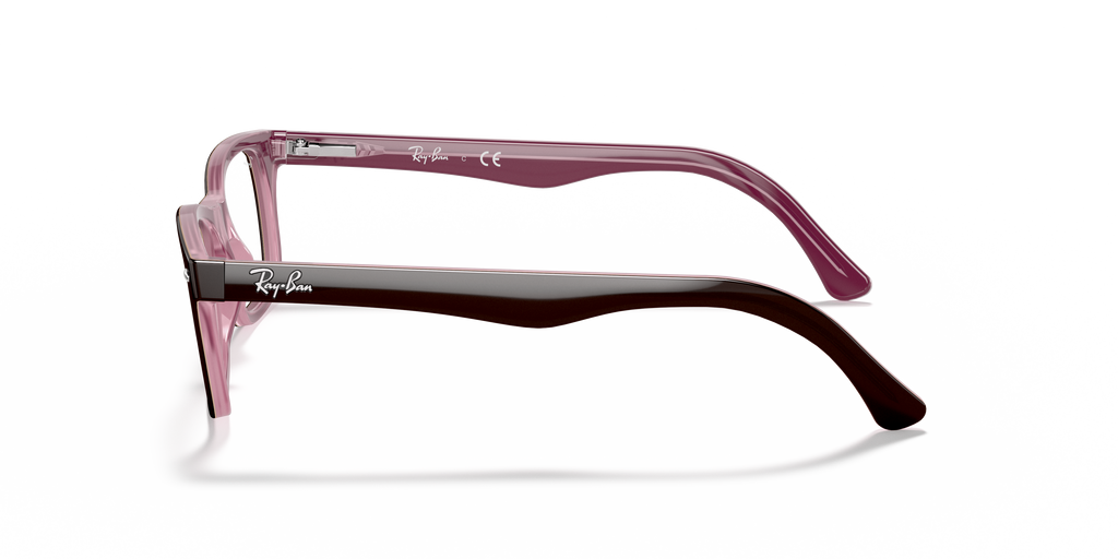 Ray-Ban RB5228 Optics